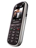 Best available price of Motorola WX288 in Capeverde
