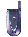 Best available price of Motorola V66i in Capeverde